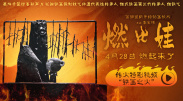 亚洲一级在线